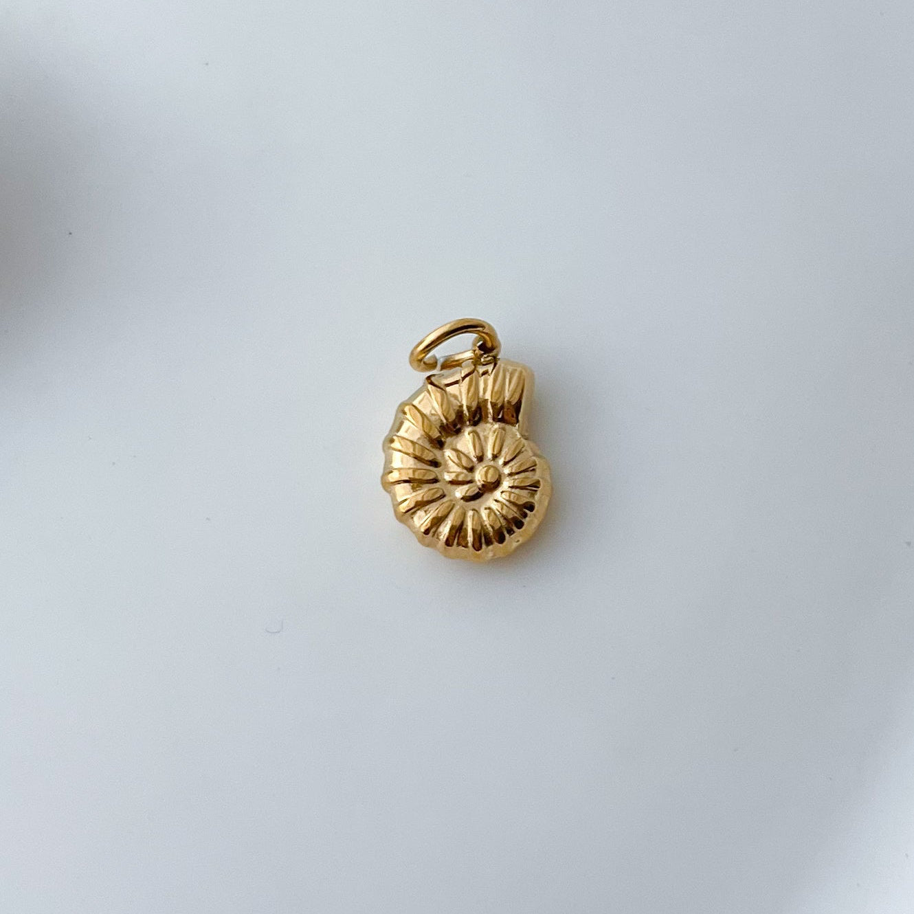 Nautilus Shell Charm