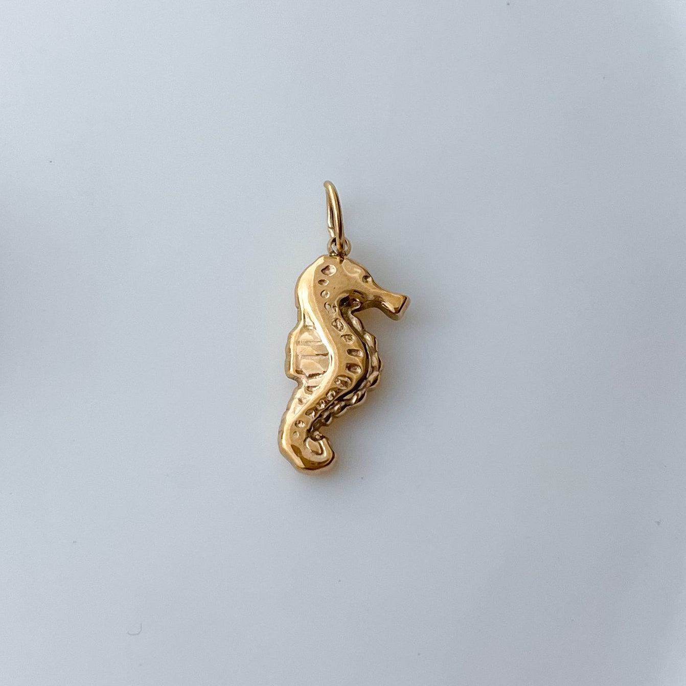 Sea Horse Charm
