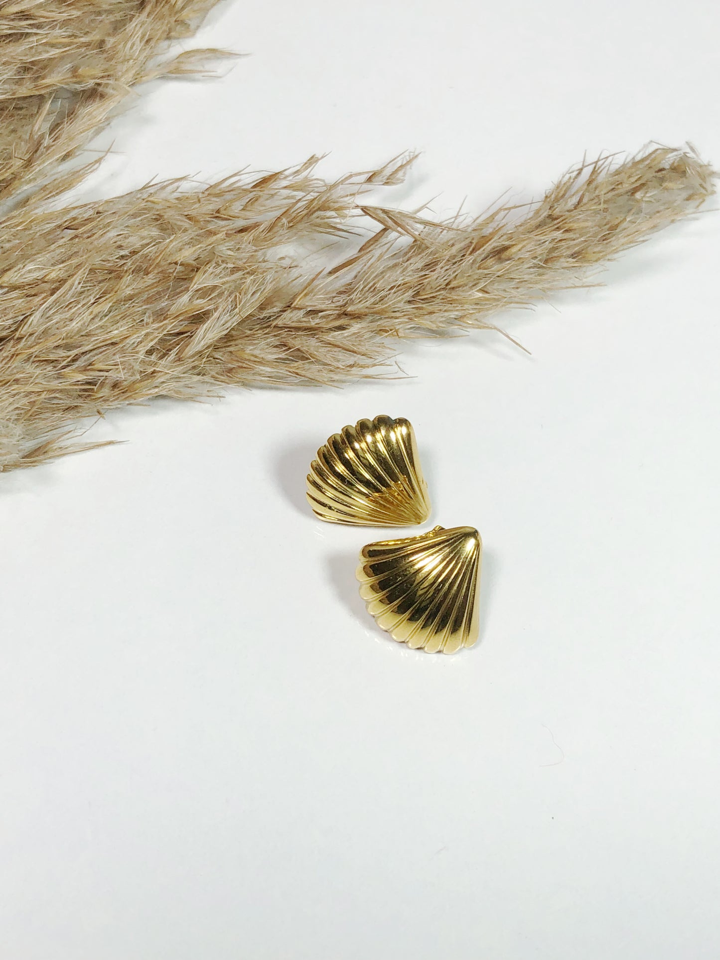 SEA SHELLS STUDS