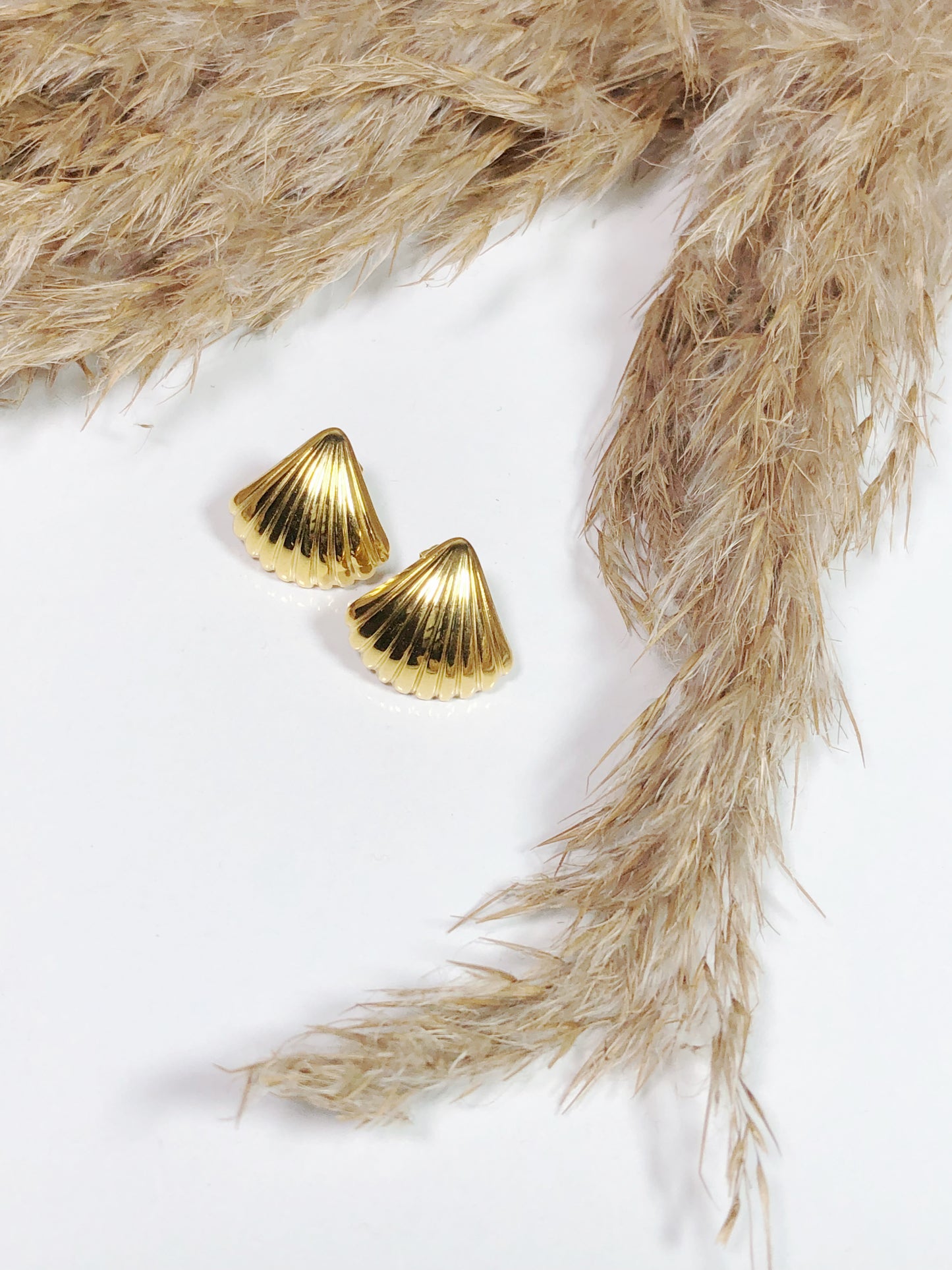 SEA SHELLS STUDS