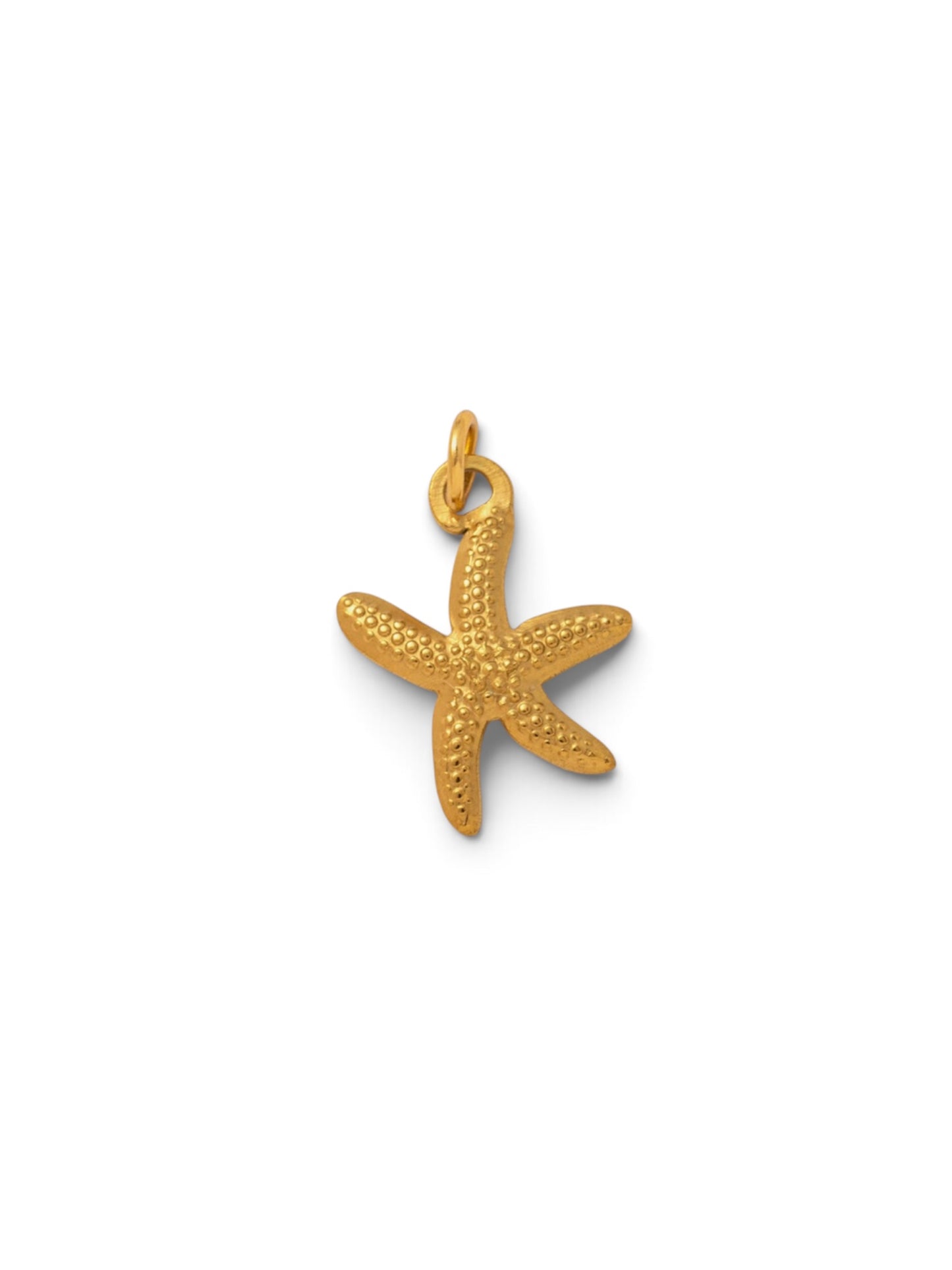 Star Fish Charm