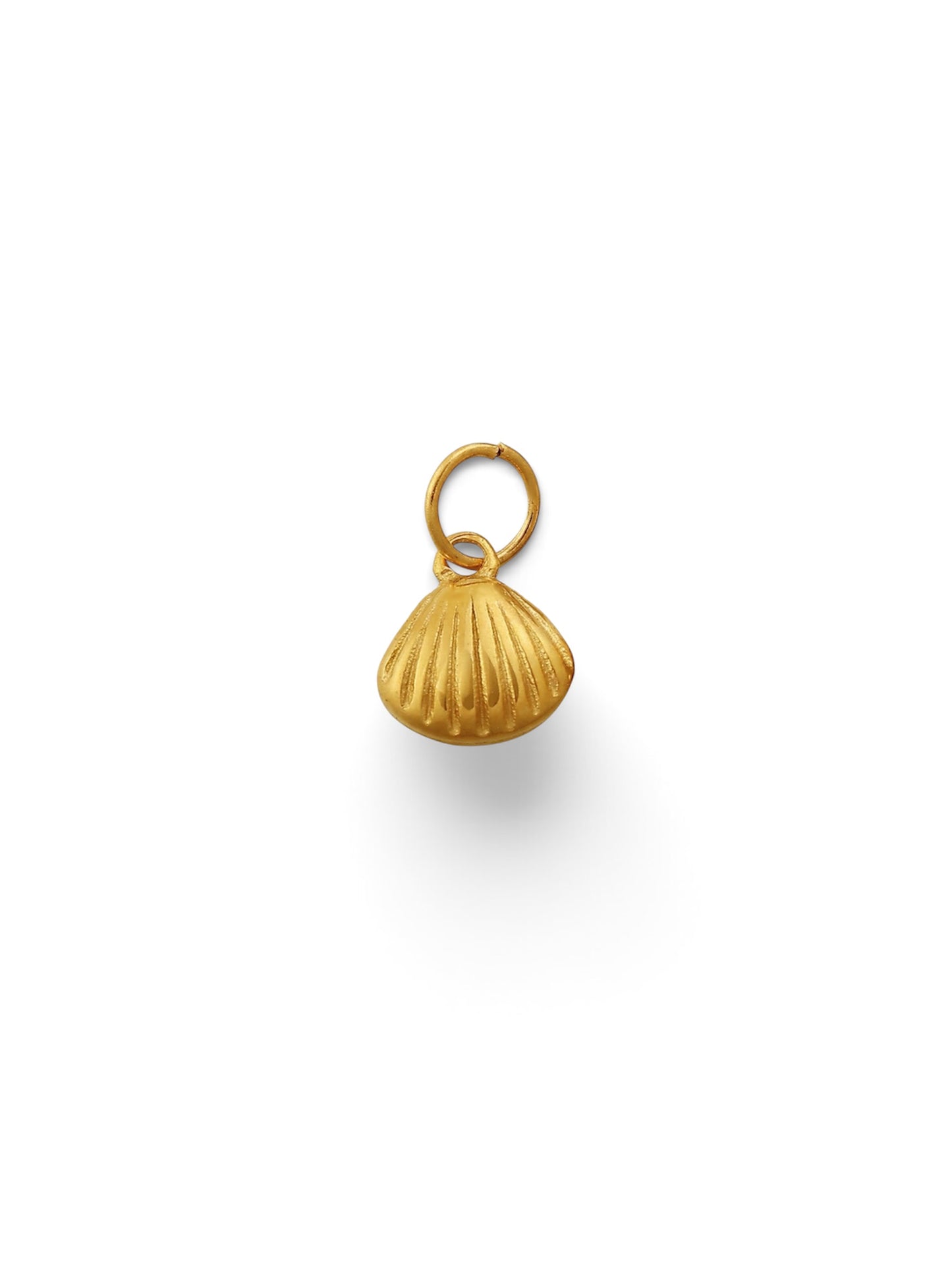 Sea Shell Charm