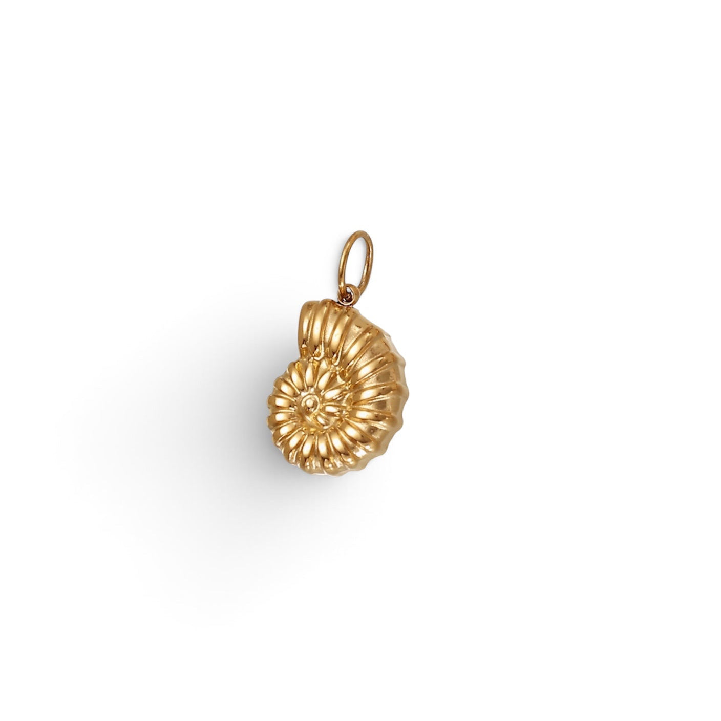 Nautilus Shell Charm