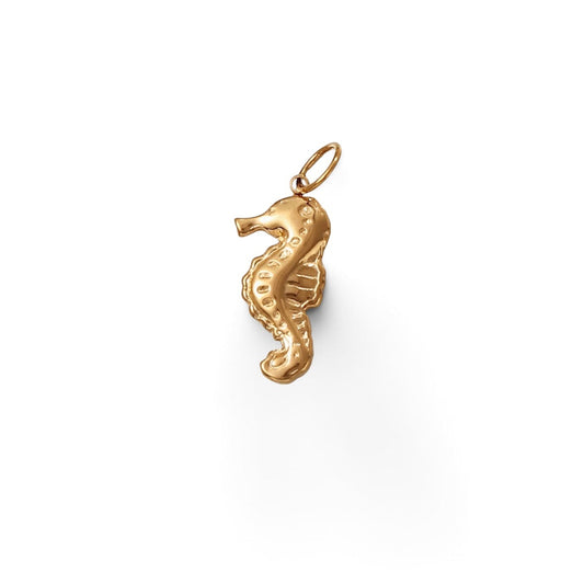 Sea Horse Charm