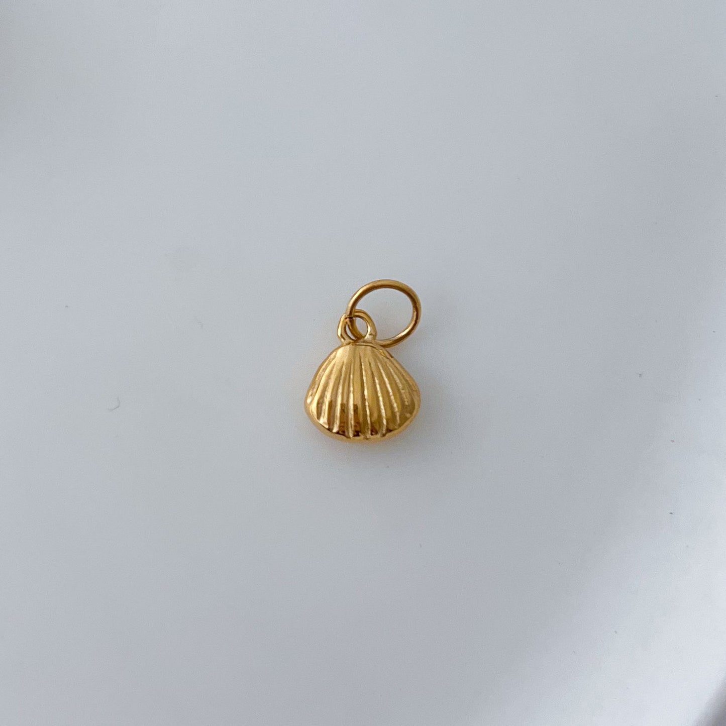 Sea Shell Charm