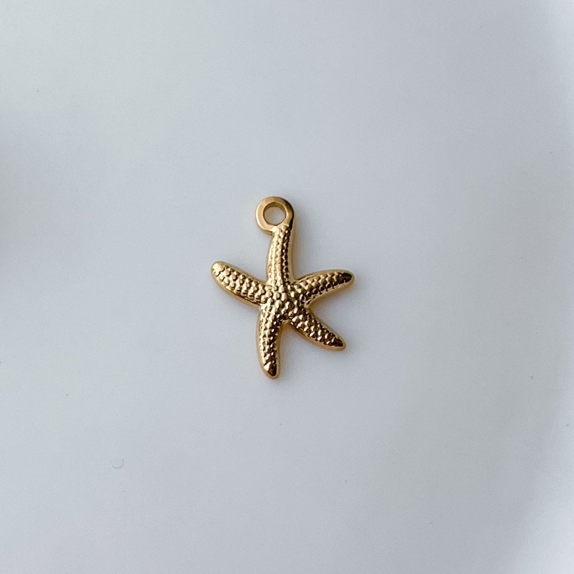 Star Fish Charm