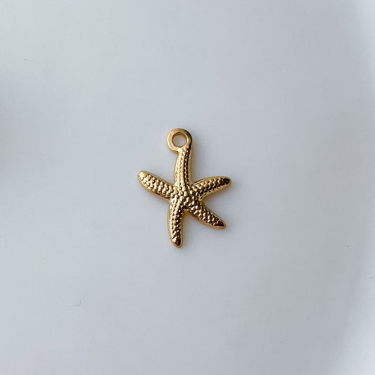Star Fish Charm